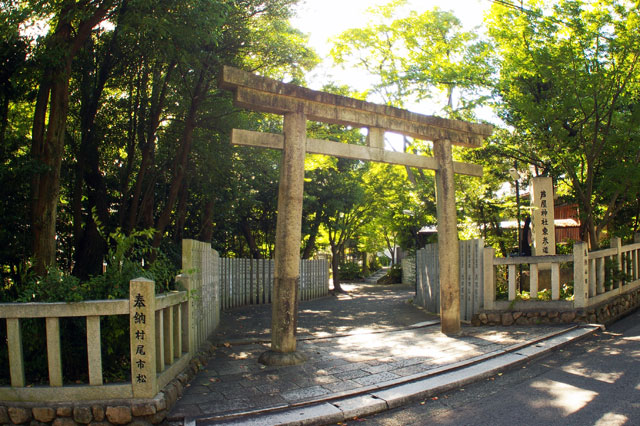 659-0095-20-3　芦屋神社