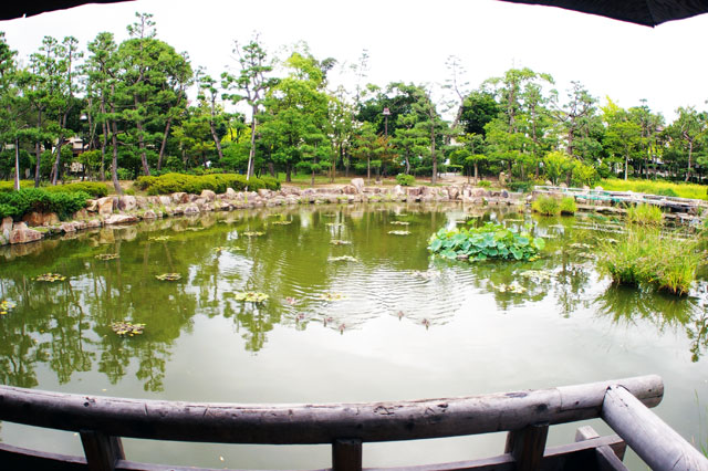 659-0043　西浜公園