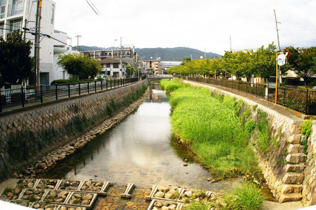 659-0026　宮川橋から北側