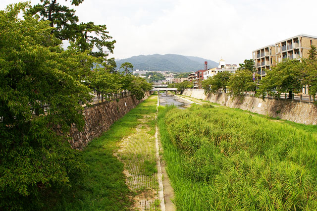 659-0071　芦屋川の葦原