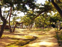 芦屋公園 | 松浜町