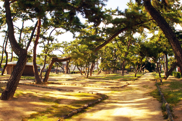 659-0054-5　芦屋公園