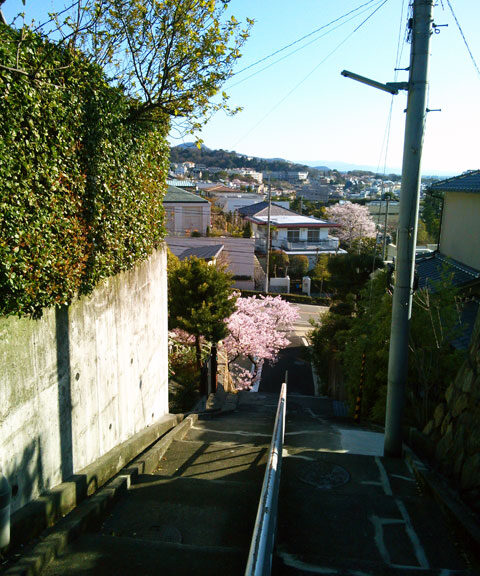 659-0095－sakura113　芦屋さくら百景１１３　東芦屋町