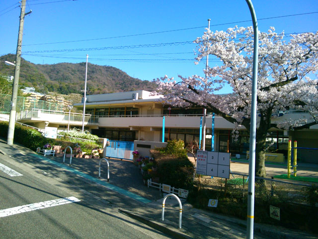 659-0012-sakura11　芦屋さくら百景１１　朝日ヶ丘町