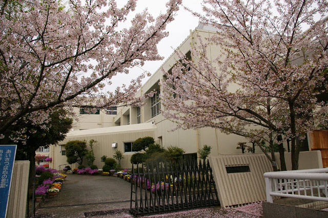 659-0024-sakura36　芦屋さくら百景３６　南宮町