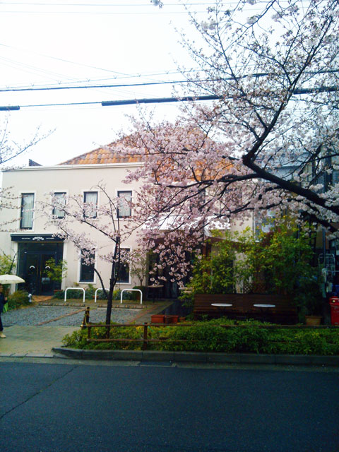 659-0067-sakura85　芦屋さくら百景８５　茶屋之町