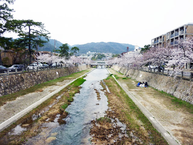 659-0068-sakura90　芦屋さくら百景９０　業平町