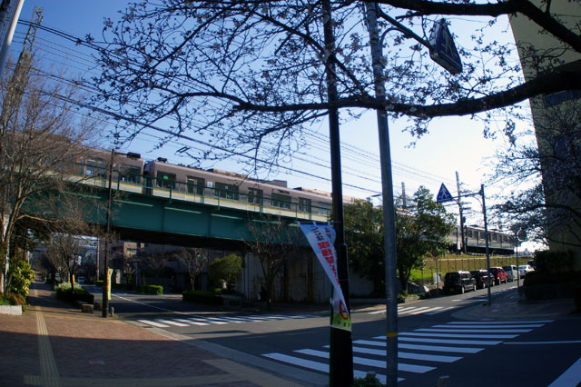 659-0072-sakura93　芦屋さくら百景９３　川西町