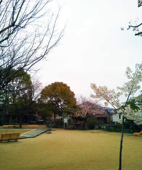 659-0091-sakura103　芦屋さくら百景１０３　東山町