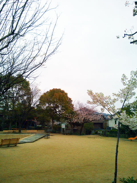 659-0091-sakura103　芦屋さくら百景１０３　東山町