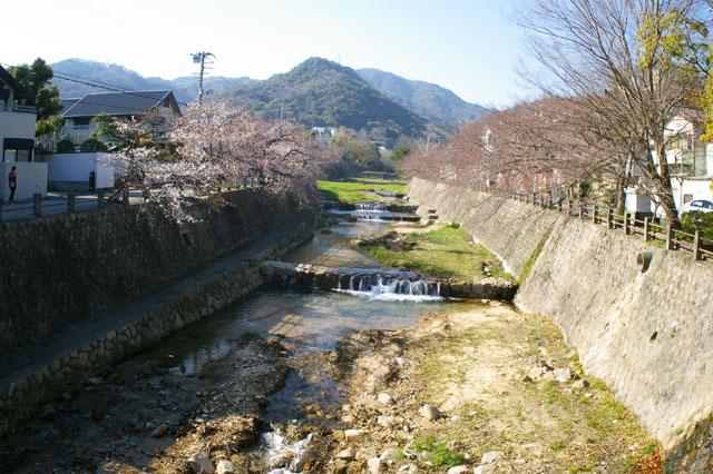 659-0096-sakura114　芦屋さくら百景１１４　山手町