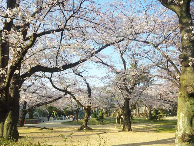 岩ヶ平公園-